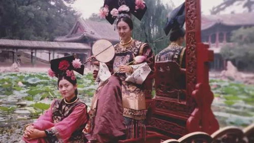  热播短剧尊龙绝世神君在线免费观看全集，尊龙绝世神君，热播短剧全集在线免费观看--第1张