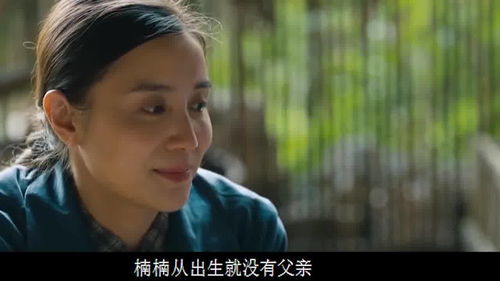  热播短剧假死后傅总跪求原谅在线免费观看全集--第1张