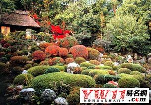  园林绿化公司经营范围--第1张