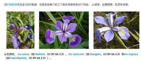  鸢尾花数据集，从数据准备到模型训练的全面解析，鸢尾花数据集，从数据准备到模型训练的完整流程--第1张