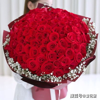  ，三十三朵玫瑰大概多少钱，浪漫之花，价格之谜--第1张