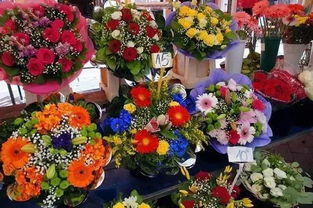  鲜花的魅力——生活中的美好瞬间，鲜花的魅力——生活中的美好瞬间，那一束束绚丽的生命之花--第1张