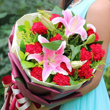  ，白百合的花语与康乃馨的花语，白百合与康乃馨的花语，爱情与母爱的交织。--第1张