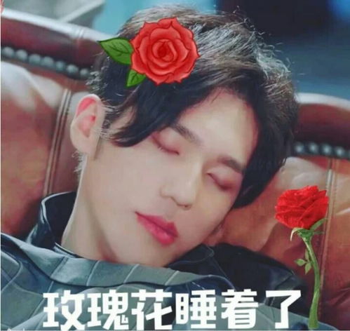  送玫瑰花的简短情话，浪漫情话，玫瑰花的深情告白--第1张