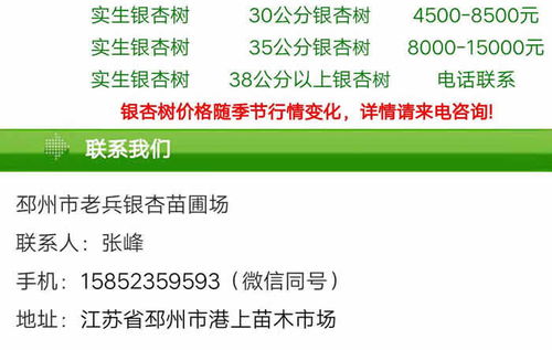  查询苗木价格哪个网站--第1张