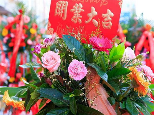  开业送几个花篮合适--第1张