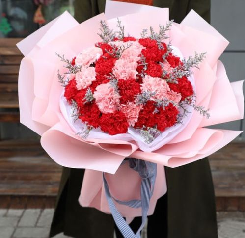  19朵红色康乃馨，花语、寓意与情感表达，19朵红色康乃馨，深情与敬爱的情感表达--第1张