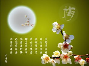  竹子的精神品质与象征意义--第1张