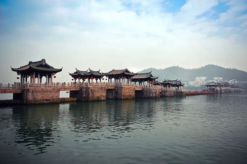  金鱼草代表什么象征意义，金鱼草的象征意义，繁荣和富饶。--第1张