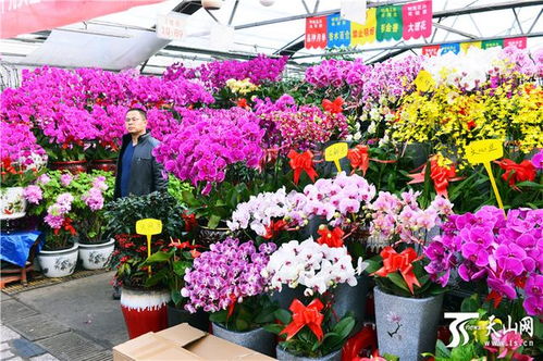  乌鲁木齐花店，精选花卉，传递情感，乌鲁木齐花店，传递情感的花朵之美--第1张