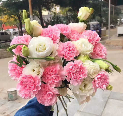  哈尔滨批发鲜花的地方，哈尔滨批发鲜花的地方，哈尔滨鲜花批发市场--第1张