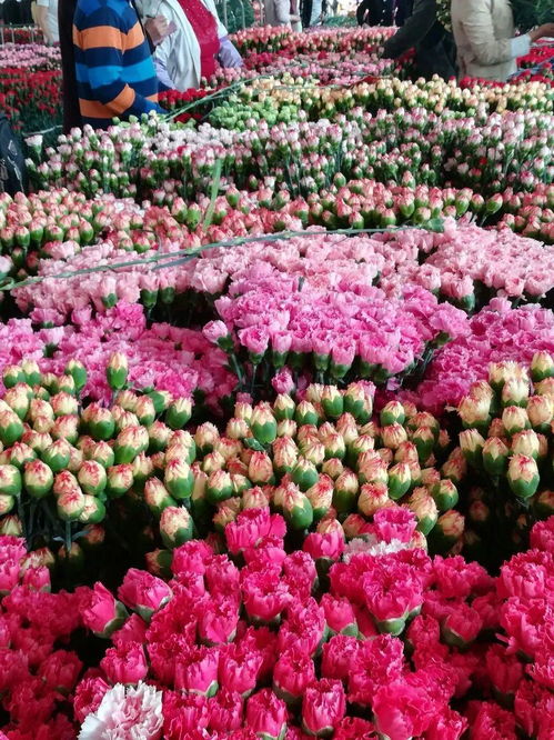  探秘全国最大的仿真花批发市场，花都花市，探秘全国最大的仿真花批发市场，花都花市，探寻花卉市场的奥秘--第1张