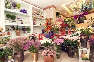  花客鲜花加盟多少钱--第1张