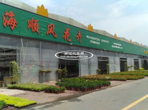  附近苗木批发市场，附近苗木批发市场，苗木采购的好去处--第1张
