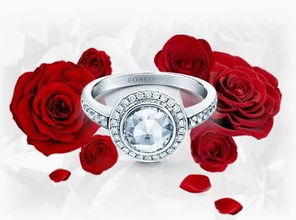  Roseonly官方网站，打造浪漫与品质的完美结合--第1张