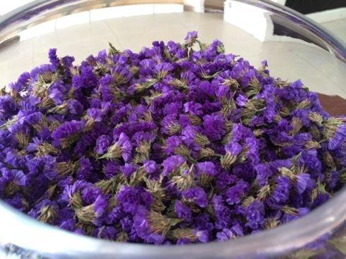  勿忘我花茶，品味自然之香，留住美好时光--第1张