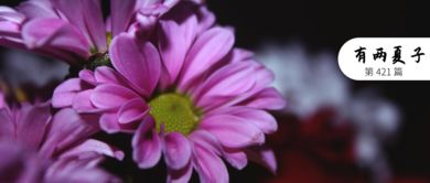  凌霄花语——坚韧、志向高洁、陪伴与永恒的爱--第1张