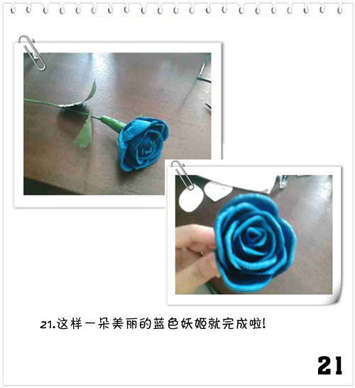  蓝色妖姬的美丽绽放，绘制蓝色妖姬的技巧，蓝色妖姬的美丽绽放，绘制技巧与心得分享--第1张