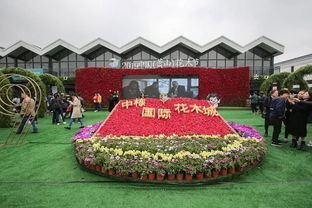  中国花木城网站——一站式花卉苗木交易平台，中国花木城网站，一站式花卉苗木交易平台，轻松购花养花--第1张