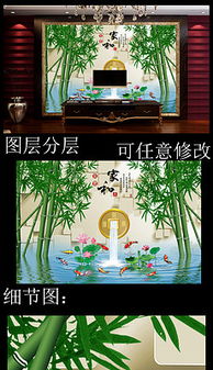  竹子生长环境