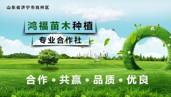  免费求购苗木，把握商机，实现绿色财富梦想，绿色财富梦想，免费求购苗木，把握商机--第1张