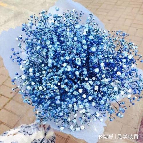  满天星的花语与浪漫文案，浪漫的花语，温馨的陪伴--第1张