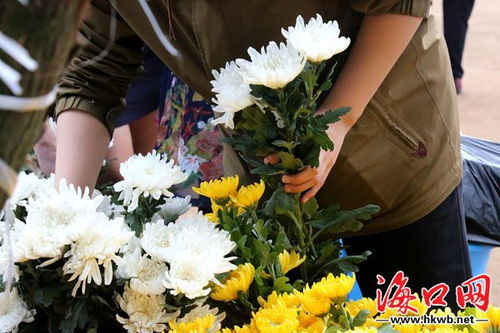  一束鲜花的图片，传递爱与美好的使者--第1张