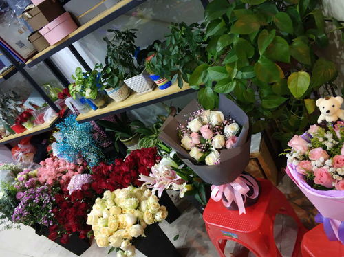  济阳鲜花店位置--第1张