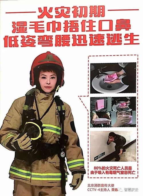  消防节日是几月几日--第1张