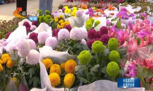  花卉市场批发价格大全，花卉市场批发价格大全，花卉批发市场价格一览表--第1张