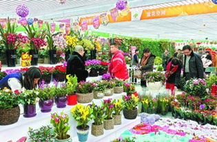  成都花市网电子商务有限公司，打造花卉行业的数字化未来--第1张