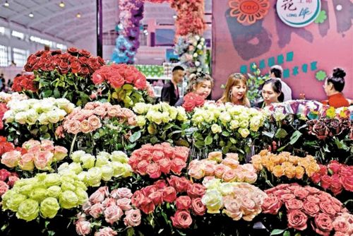  鲜花售卖网站的魅力，从线上到线下的美丽之旅，鲜花售卖网站的魅力之旅，从线上到线下的美丽之旅--第1张