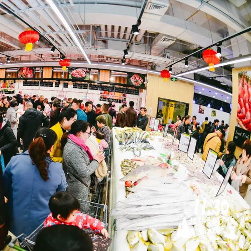  杭州最大花卉批发市场，一站式购物的天堂，杭州最大的花卉批发市场，一站式购物的天堂--第1张