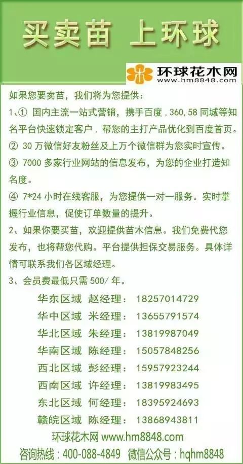  苗木采购清单价格表--第1张