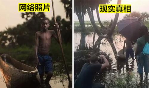 国槐树图片，古老与优雅的完美结合--第1张