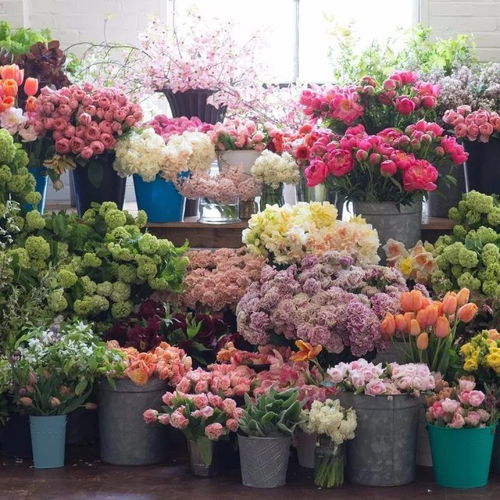  济南历城花店，精选花卉，传递美好--第1张