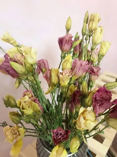 制作干花的6种小方法--第1张