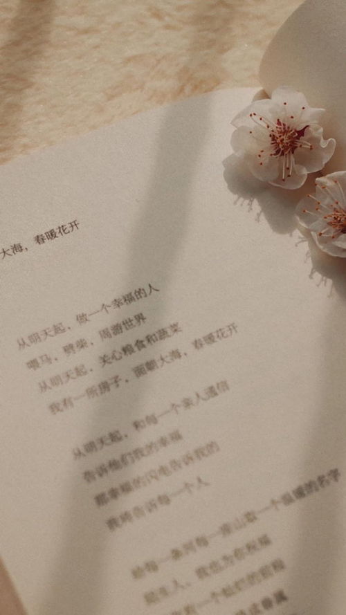  小众却惊艳的生日文案，小众而惊艳的生日文案，独特而个性的生日祝福语--第1张