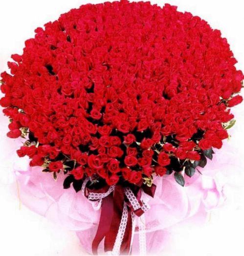  九朵玫瑰花图片，浪漫与情感的完美结合，九朵玫瑰花，浪漫与情感的完美结合之花束图片--第1张