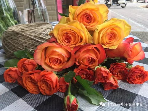  斗南鲜花每日价格表，斗南鲜花每日价格表，斗南鲜花市场价格波动及交易情况。--第1张