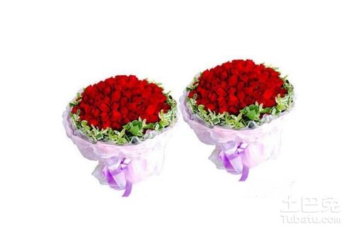  玫瑰花99朵图片大全，玫瑰花99朵图片大全，浪漫的表白与祝福--第1张