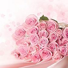  ，33朵黄玫瑰的花语，爱你三生三世，33朵黄玫瑰的花语，爱你三生三世--第1张