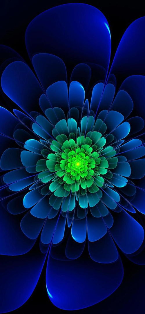  各种花朵的图片，探索绚丽多彩的花卉世界，探索绚丽多彩的花卉世界，各种花朵的图片--第1张