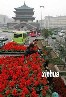  西安鲜花交易市场，繁荣背后的鲜花故事，西安鲜花交易市场的繁荣背后的鲜花故事，西安鲜花交易市场是一个充满活力和繁荣的市场，它背后有着许多鲜花的故事和背后的故事。--第1张
