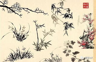  ，梅兰竹菊，四君子之风范，梅兰竹菊，四君子之风范，生活中的美好与品格的象征--第1张