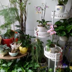 附近花店鲜花店地址在哪里--第1张
