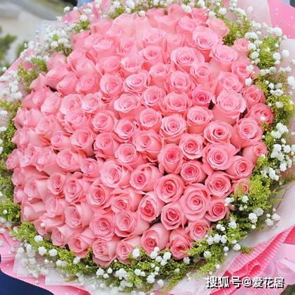  戴安娜粉色玫瑰花语，戴安娜粉色玫瑰的花语是，感动、爱的宣言、铭记于心、初恋、希望与你泛起激情的爱、铭记于心、爱你就是这么简单。--第1张