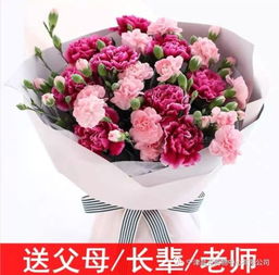  康乃馨是送妈妈的花吗，康乃馨是送妈妈的花之一。--第1张