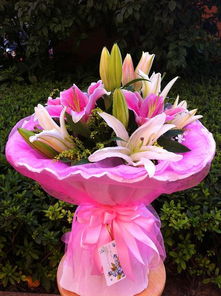  友情送什么花合适，友情送百合花合适。百合花寓意着高贵、纯洁，能够表达对朋友的尊重和祝福，非常适合送给朋友表达友情。--第1张