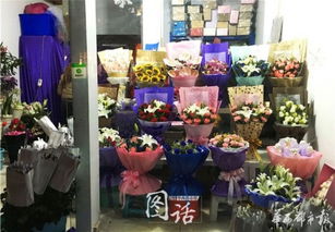  花店蓝色妖姬多少钱一朵，花店蓝色妖姬的价格，一朵多少钱？--第1张